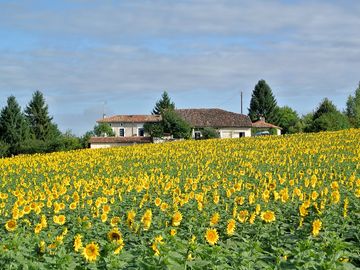 Chez sarrazin farm, a peaceful countryside spot
