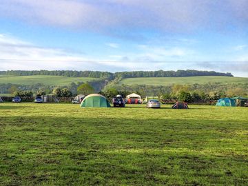 Grass pitches and views