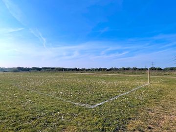 Camp lion - non-electric grass pitch