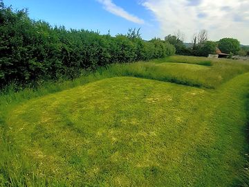 Blossom grass pitch