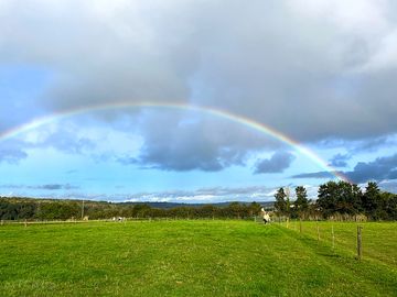 Rainbow over Pendavey Farm