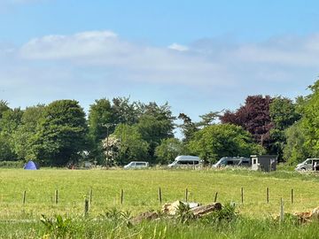 Grassy pitches sheltered by trees