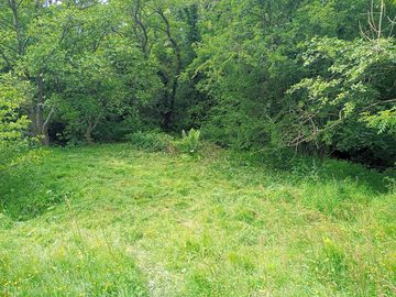 Plot 5
