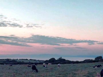 Evening views