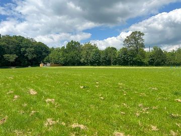 Grass pitch