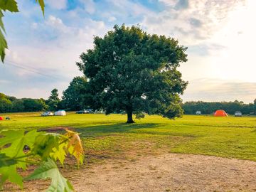 Peaceful relaxing campsite