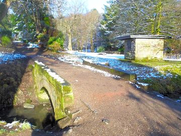 Local walks