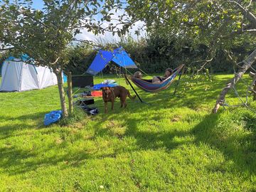 Come and chill