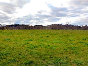 National trust land nearby