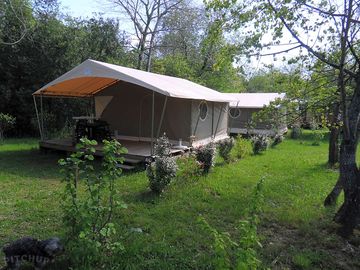 Safari tents