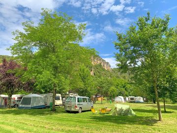 Tent pitches partially shaded by trees