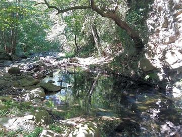 Riverside walks