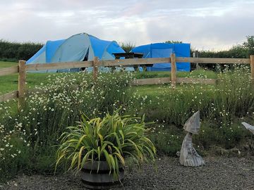 Tent pitches