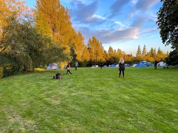 Grass paddock pitches