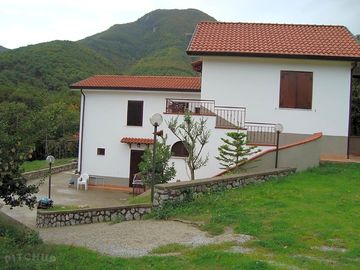 Around the site