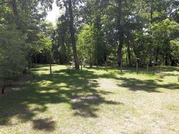Pitch