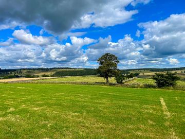 Views across the site