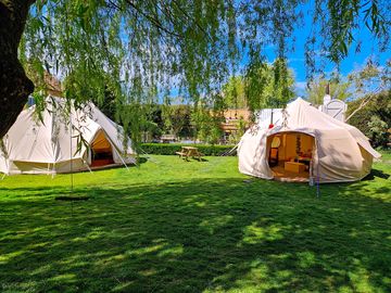 Willow tree garden