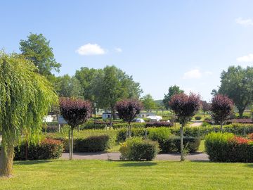 Grass pitches