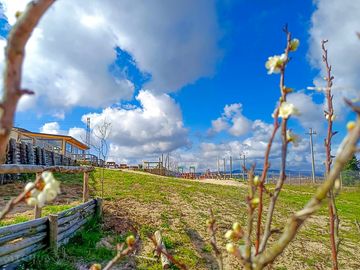 Tent pitches with far-reaching views