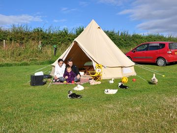 Tent pitches