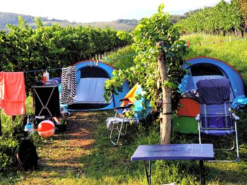 Small pitch for two people among the vines