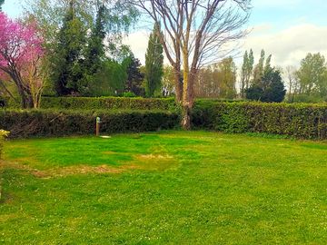 Grass pitch