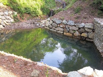 Our little pond