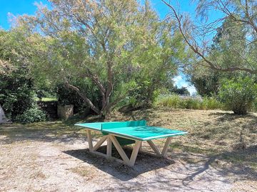 Ping-pong table among the olive trees