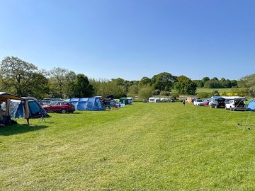 Grass pitches