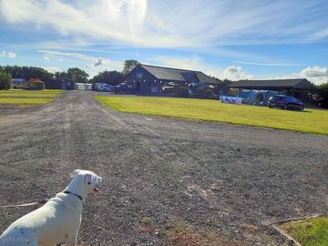 Electric tent pitches next to the Clubhouse