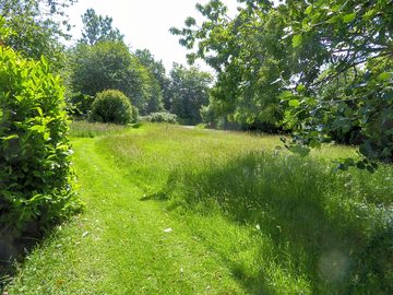 Camping field