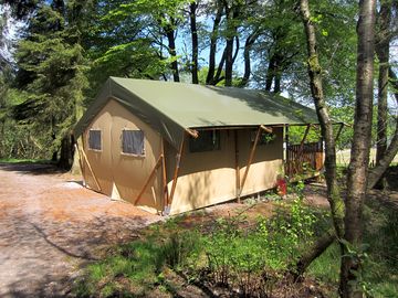 Just inside the woods with private compost loo and site facilities close by
