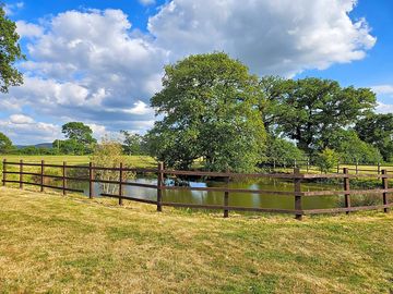 The wildlife pond