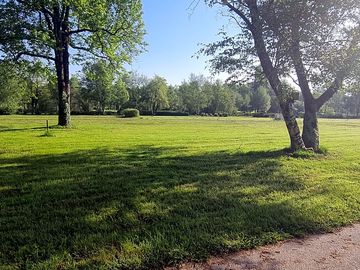 Pitches between the trees