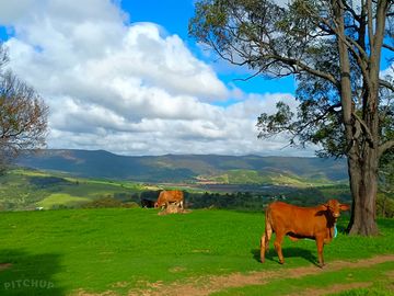 Great views from the top of the property