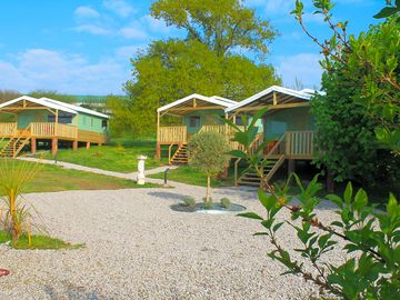 Wooden lodges in a natural setting