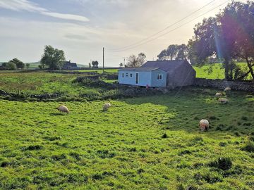 Wonderful neighbours