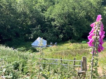 The camping field catches the afternoon and evening sun