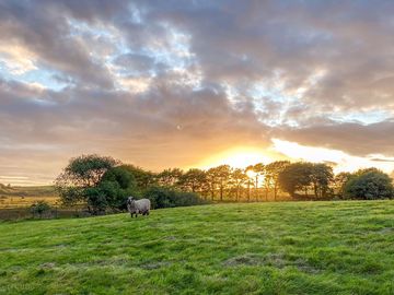 Visitor image of the sunset over the campsite