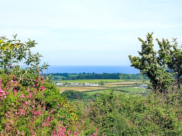 Sea view from the site