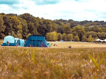 Grass tent pitch
