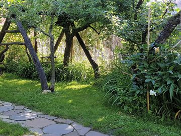 Path through the garden