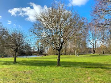 Spacious and peaceful site