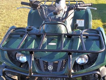 Quad bike as a back up.!!