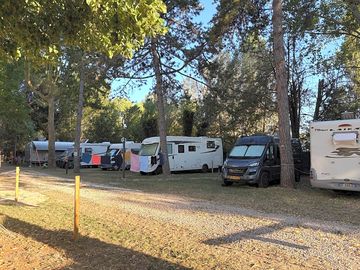 Pitches under the trees