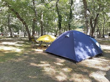 Pitches under the trees