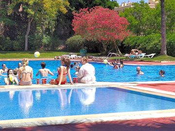 Guests in the pool