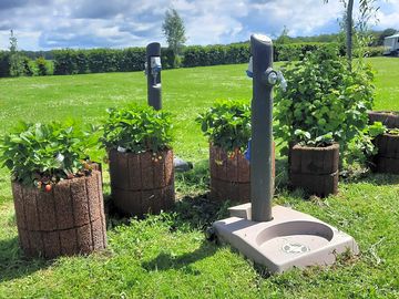 Electric hook-up and water tap