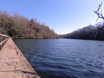 Around the area